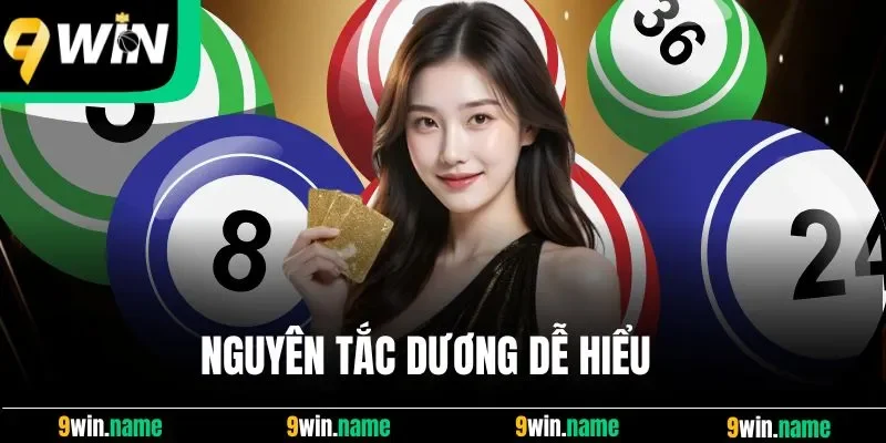 Nguyên tắc dương dễ hiểu Nguyên tắc dương dễ hiểu