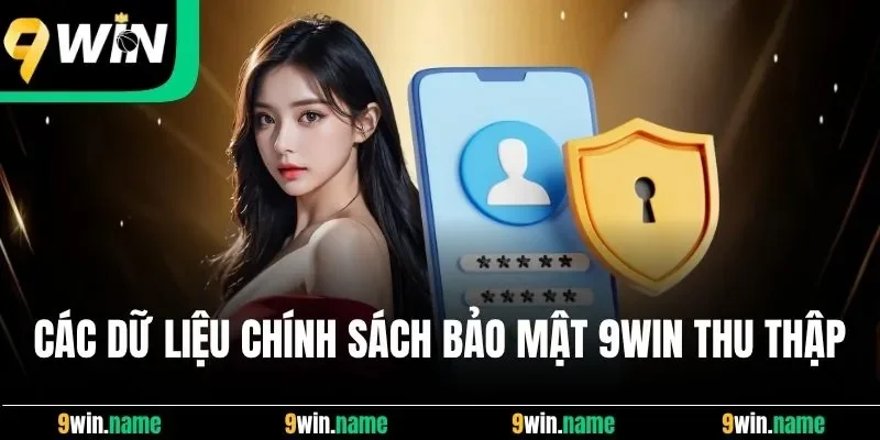 Các dữ liệu chính sách bảo mật 9Win thu thập Các dữ liệu chính sách bảo mật 9Win thu thập